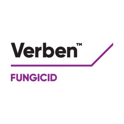 logo-verben